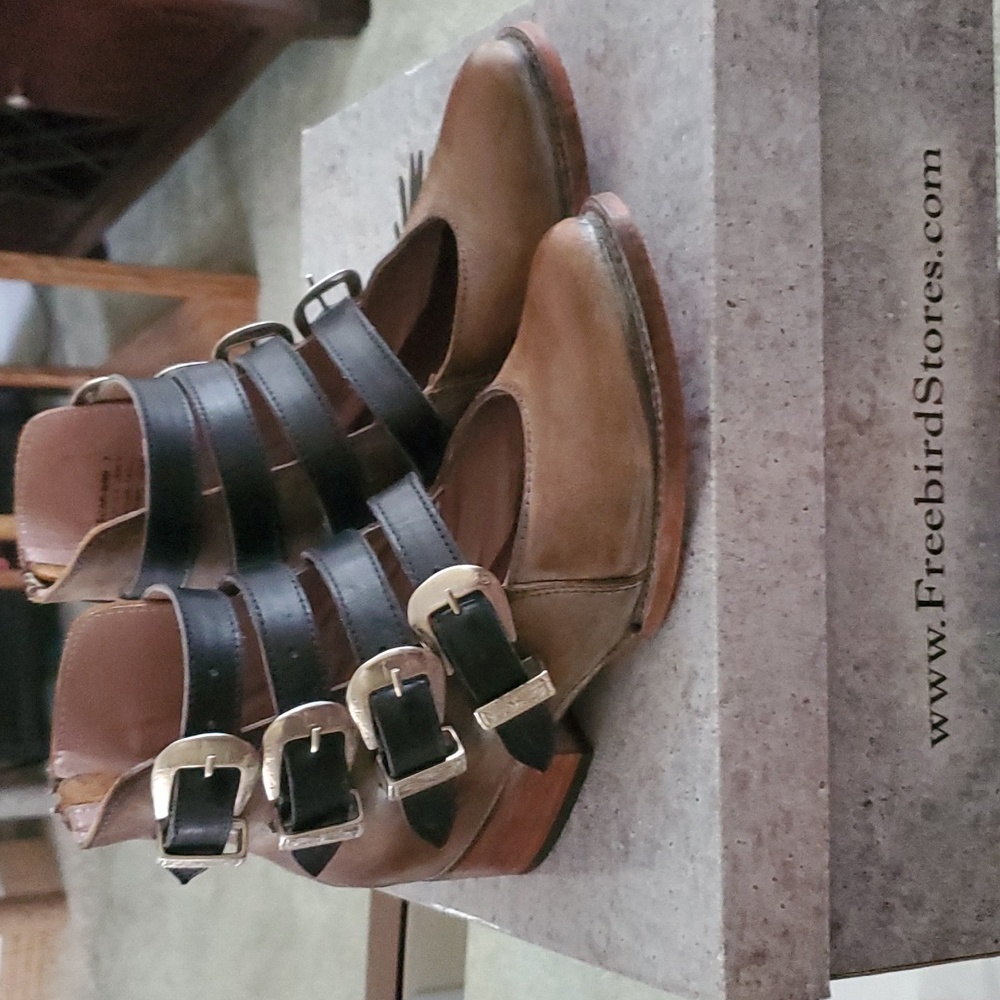 Scarlett Brown Freebird Shoes